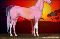 Horse Color:Watercolor Bay 