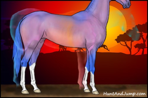 Horse Color:Watercolor Brown 