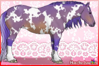 Horse Color:Watercolor White Spotted Bay 