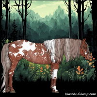 Horse Color:Chocolate Palomino Tobiano Frame Appaloosa Rabicano 