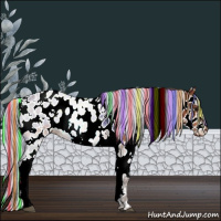 Horse Color:Painted White Spotted Silver Bay Appaloosa Rabicano 