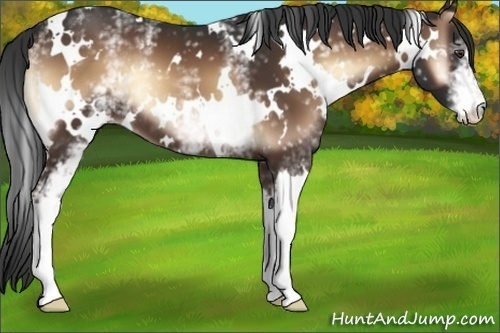 Horse Color:White Spotted Liver Red Onyx 