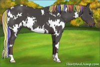 Horse Color:Painted White Spotted Silver Black