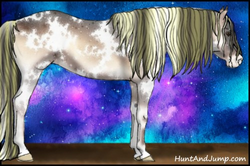 Horse Color:Painted White Spotted Liver Red Onyx Appaloosa 