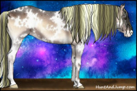 Horse Color:Painted White Spotted Liver Red Onyx Appaloosa 