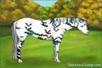 Horse Color:White Spotted Brown Ice Splash 