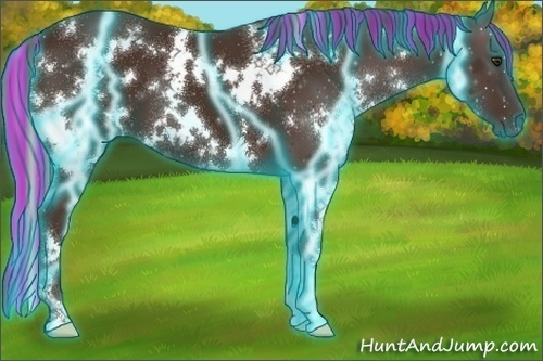 Horse Color:Painted Thunderstruck White Spotted Liver Chestnut 