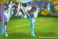 Horse Color:Painted Thunderstruck White Spotted Liver Chestnut 