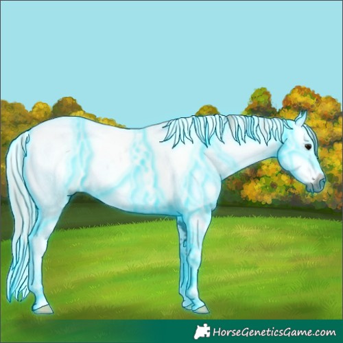 Horse Color:Gray Thunderstruck White Spotted Silver Black Ice 
