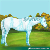 Horse Color:Gray Thunderstruck White Spotted Silver Black Ice