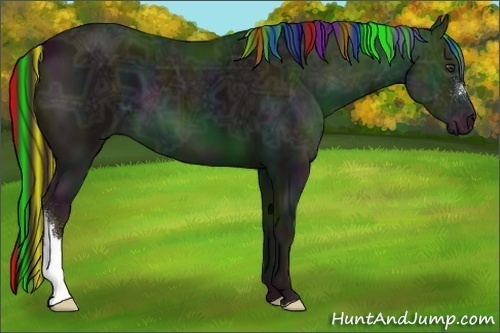 Horse Color:Painted Midnight Liver Chestnut Ice 