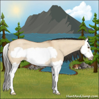 Horse Color:Bay Roan Dun Splash Frame Rabicano 