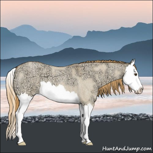 Horse Color:Red Dun Ice Roan Splash 