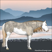 Horse Color:Red Dun Ice Roan Splash 