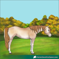 Horse Color:Red Onyx Pearl Sabino Rabicano