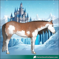 Horse Color:Bay Splash