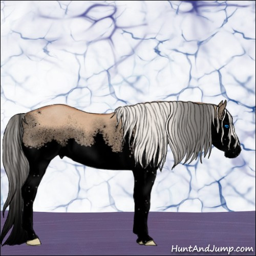 Horse Color:Void Silver Bay Roan Dun Splash Rabicano 