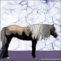 Horse Color:Void Silver Bay Roan Dun Splash Rabicano