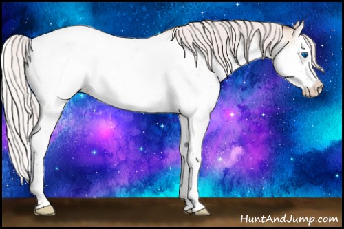 Horse Color:Silver Classic Champagne Roan Dun Splash Appaloosa Rabicano 