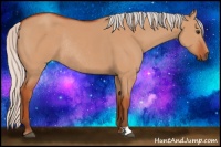 Horse Color:Silver Bay Dun Rabicano 