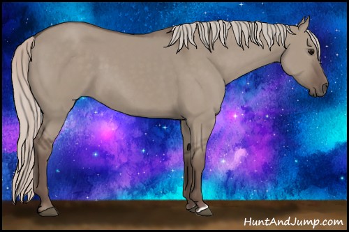 Horse Color:Silver Grullo 