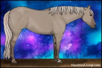 Horse Color:Silver Grullo 