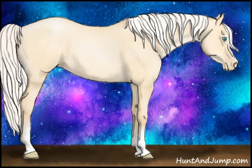 Horse Color:White Spotted Silver Buckskin Pearl Dun Rabicano 