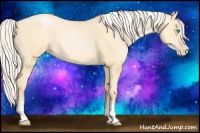 Horse Color:White Spotted Silver Buckskin Pearl Dun Rabicano 