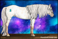 Horse Color:Silver Amber Champagne Roan Dun Near Leopard Rabicano