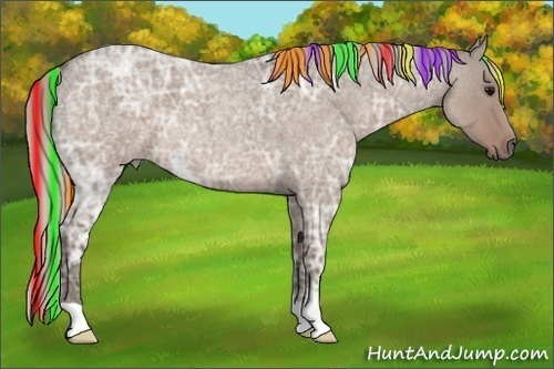 Horse Color:Painted Silver Grullo Ice Roan 