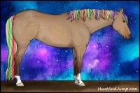 Horse Color:Painted Silver Buckskin Dun 