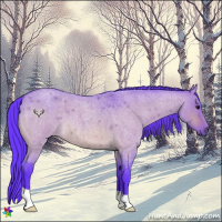 Horse Color:Watercolor Bay Roan Dun 