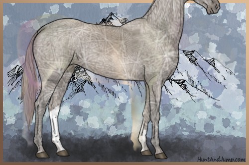 Horse Color:Silver Grullo Ice 