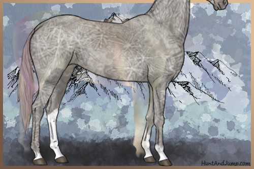 Horse Color:Silver Black Ice 