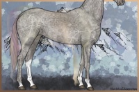 Horse Color:Silver Black Ice 