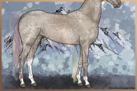 Horse Color:Silver Grullo Ice 