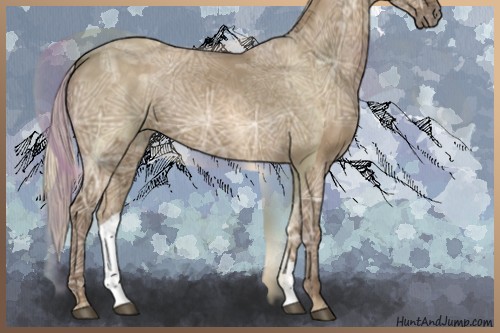Horse Color:Silver Smoky Grullo Ice 