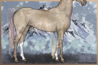 Horse Color:Silver Smoky Grullo Ice 