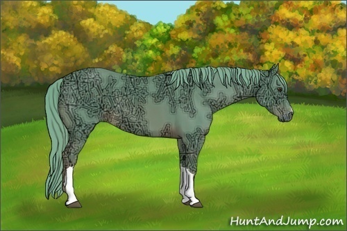 Horse Color:Watercolor Chestnut Ice
