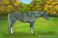 Horse Color:Watercolor Chestnut Ice 