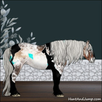 Horse Color:Liver Red Onyx Ice Mushroom Tobiano 