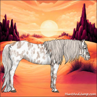 Horse Color:Silver Bay Ice Appaloosa 