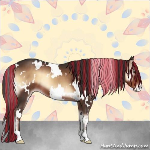 Horse Color:Painted White Spotted Liver Red Onyx Appaloosa 