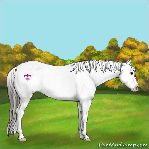 Horse Color:White Spotted Black Ice Tobiano Varnish 