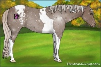 Horse Color:Silver Black Tobiano Varnish 