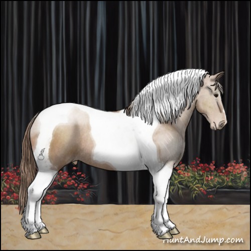 Horse Color:Black Pearl Tobiano Rabicano 