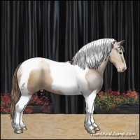 Horse Color:Black Pearl Tobiano Rabicano