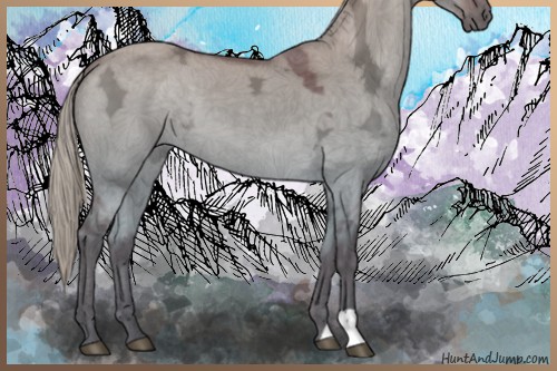 Horse Color:Silver Brown Ice Dun