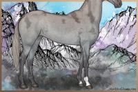 Horse Color:Silver Brown Ice Dun 