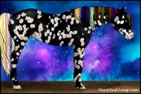 Horse Color:Painted White Spotted Chestnut Pearl Splash Tobiano Leopard 